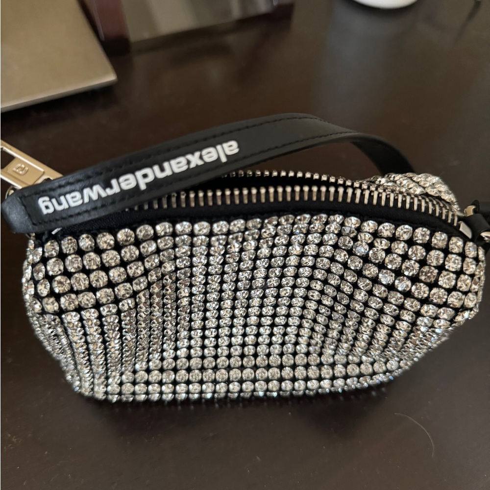 Alexander Wang heiress pouch in crystal mesh